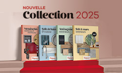 Nouveaux catalogues