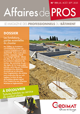 Dernier numro Affaires de Pros