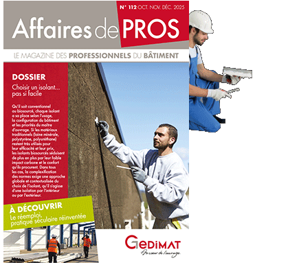 Dernier numro Affaires pros