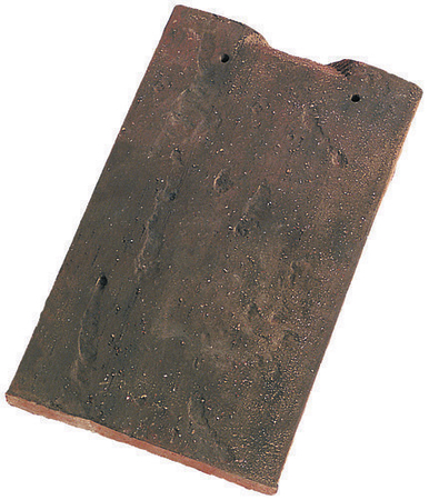 Tuile MONUMENT HISTORIQUE 16x27 coloris rustique foncé - Gedimat.fr