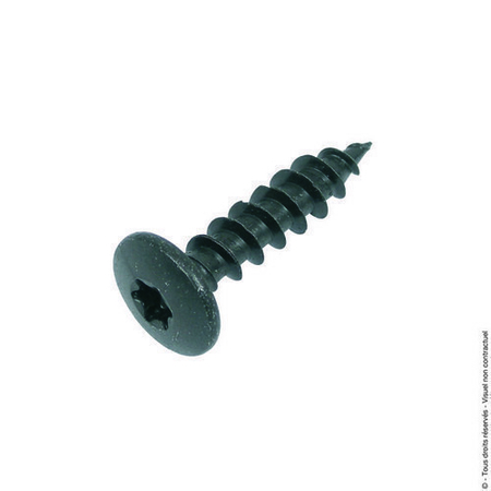Vis penture (x30) L.50mm diam.7 Noire - Gedimat.fr