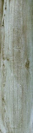 Carrelage pour sol intérieur en grès cérame coloré dans la masse naturel rectifié NATURA larg.20cm long.80cm coloris ulivo - Gedimat.fr