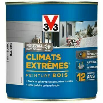 Peinture sols extérieurs V33 climats extrêmes satin 2,5L (beton