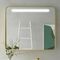 Miroir LED APOLO avec bord en finition or mat - 100x70x11cm - Gedimat.fr
