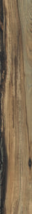 Carrelage sol intrieur SHERWOOD - 15 x 100 cm p.9,5mm - walnut - Gedimat.fr