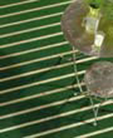 Lame de terrase sapin du nord blanc GRASSEDECK ép.28mm larg.144mm long.2,10m - Gedimat.fr
