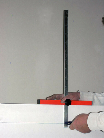 Té de plaquiste - Gedimat.fr
