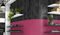 Bande de chant thermoplastique ABS U337 rose fuchsia ST9 - 23X0,8mm rouleau de 75m - Gedimat.fr