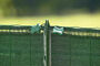 Filet d'occultation SUPRATEX vert - 1,50x10m - Gedimat.fr