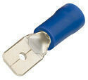 Clip male pr-isol bleu 6,3x0,8mm - Attaches - Raccordements - Accessoires - Electricit & Eclairage - GEDIMAT