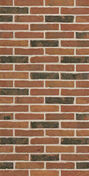 Brique de parement pleine WF olm - 215x102x50mm - Briques et Plaquettes de parement - Aménagements extérieurs - GEDIMAT