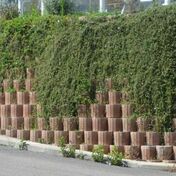 Bloc béton végétalisable BETOPLUS ton pierre - 25x21x50cm - Murs de soutènement - Talus - Matériaux & Construction - GEDIMAT