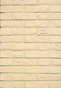 Brique de parement pleine WDF Forum branco - 215x102x65mm - Briques et Plaquettes de parement - Revtement Sols & Murs - GEDIMAT