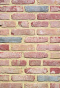 Plaquette de parement Rétro tiffany - 215x65x22mm - boîte de 35 pièces - Briques et Plaquettes de parement - Revêtement Sols & Murs - GEDIMAT