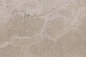Carrelage en grs crame maill CAMINO 40x60cm - Carrelages sols intrieurs - Revtement Sols & Murs - GEDIMAT