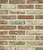Brique de parement pleine WDF Rustica oud velsteen - 215x102x65mm - Briques et Plaquettes de parement - Amnagements extrieurs - GEDIMAT