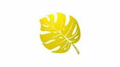 Accessoire dcoratif MONSTERA - 30,5 x 39 cm - jaune citron - Jardinires - Poteries - Plein air & Loisirs - GEDIMAT