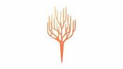 Accessoire dcoratif CORAIL - 36 x 80 cm - orange mangue - Jardinires - Poteries - Plein air & Loisirs - GEDIMAT