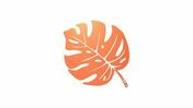 Accessoire dcoratif MONSTERA - 30,5 x 39 cm - orange mangue - Jardinires - Poteries - Plein air & Loisirs - GEDIMAT