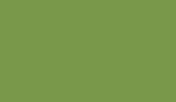 Panneau de particules mélaminé Eurodekor 2 faces U626 vert kiwi ST9 - 2800x2070x19mm - Panneaux mélaminés - Menuiserie & Aménagement - GEDIMAT