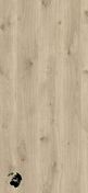 Feuille de stratifié HPL avec Overlay D4430 oak white OV - 3050x1320x0,8mm - Panneaux stratifiés et décoratifs - Bois & Panneaux - GEDIMAT