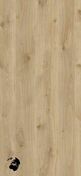 Feuille de stratifié HPL avec Overlay D4428 oak natural OV - 3050x1320x0,8mm - Panneaux stratifiés et décoratifs - Menuiserie & Aménagement - GEDIMAT